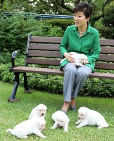 Impeached South Korean President Park Guen-hye with her dogs South Korean President Park Guen-hye