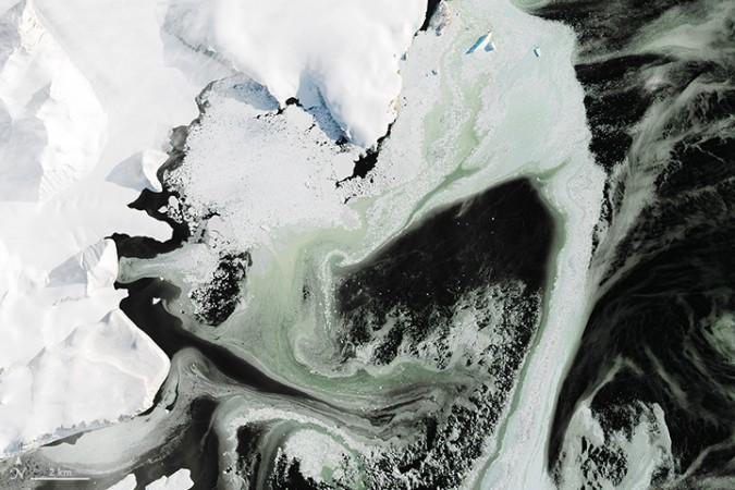 A close-up image showing the green hue in the Granite Harbor region. nasa, antarctica, space, environment, green ice, mystery,