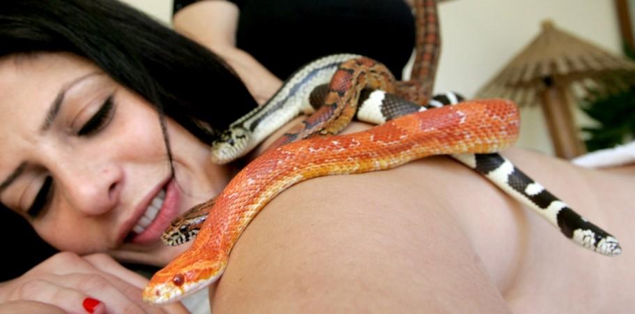 Liz Cohen receives a snake massage treament, where snakes are let loose on her body, at a spa in the northern communal village of Talmey El'Azar Snake massage, women, weird,