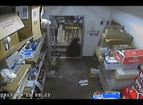 Alabama woman jumps out of moving vehicle to escape kidnapper