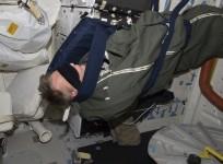nasa, astronaut, sleeping, torpor, space,