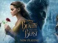 Beauty and the beast