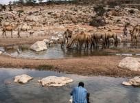 Humanitarian relief for Somalia goes viral after social media campaign
