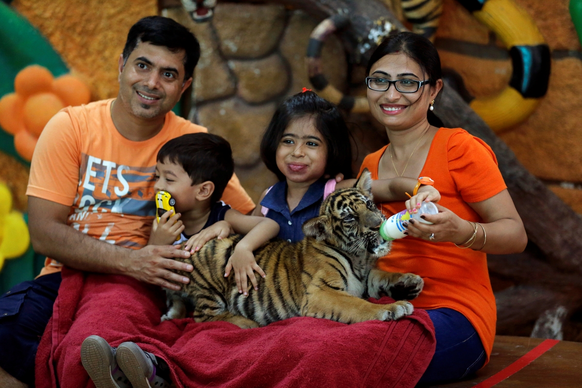 outbound tourism, indian tourists in singapore, stb, indian tourists to singapore 2016, top destinations for indian travellers