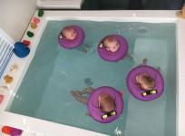 baby, spa, Australia, cute, Baby Spa Perth,