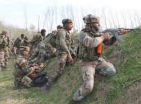 kashmir