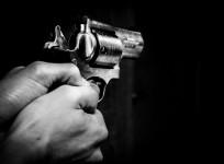 Gun
