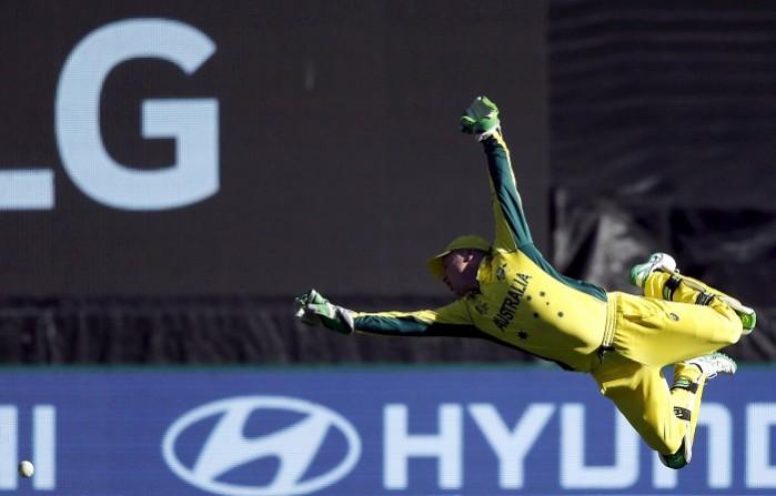 Brad Haddin. Brad Haddin, IPL 2017, IPL, De Kock's replacement