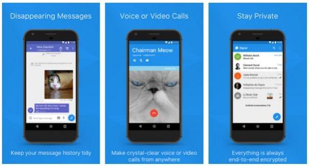 Signal messaging app. Signal