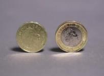 The new £1 coin: In numbers