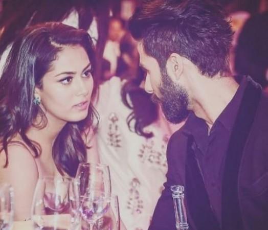 Shahid Kapoor And Wife Mira Rajput Aren T The Most Compatible Couple Here S Proof Ibtimes India