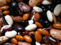 diabetes, type -2 diabetes, legumes, lentils, health,