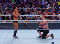 John Cena proposes to Nikki Bella