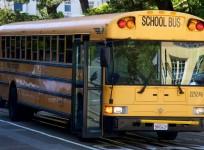 School Bus