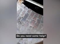 Teenager stumbles upon dying man stuck in deep hole in Devon woods