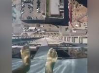 Terrifying video shows glass-bottom pool that hangs over edge of Texas skyscraper