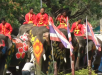 Elephants join huge water fight ahead of Thai New Year