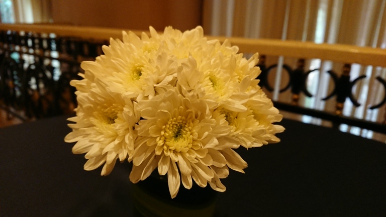 Sony Xperia XZs Camera Sample Sony Xperia XZs Camera Sample