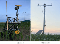 Vinobot and Vinoculer for high-throughput phenotyping in the field