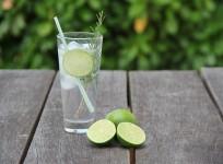 gin, diabetes, metabolism, health, alcohol,