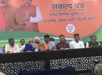bjp manifesto launch