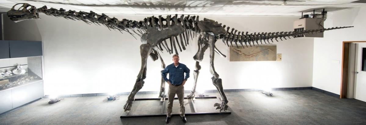 Researchers from the Brigham Young University discovered a new species of dinosaurs. dinosaur, Moabosaurus, Utah, discovered,