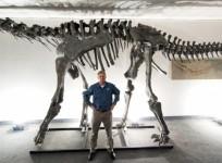 dinosaur, Moabosaurus, Utah,discovered,