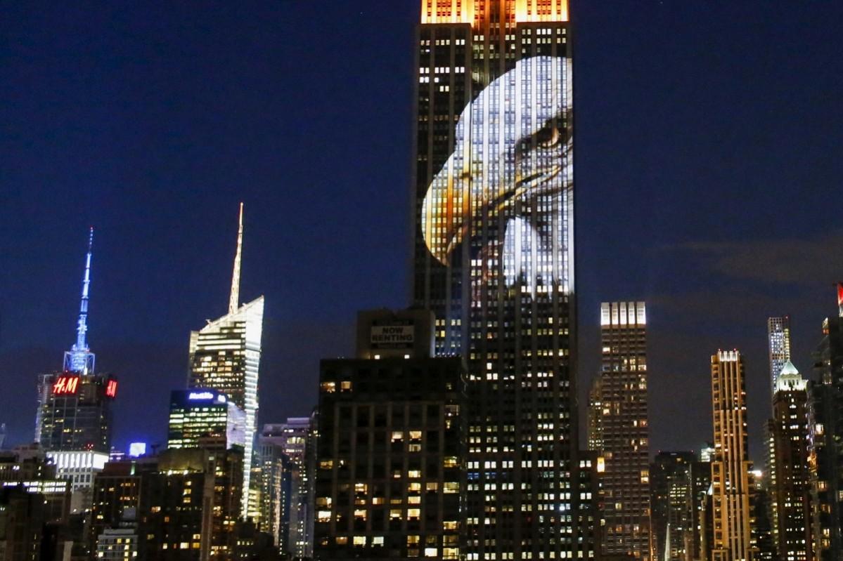An image of an animal is projected onto the Empire State Building Empire State Building