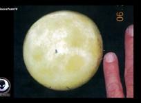nasa, moon rock, Joann, Apollo 11,