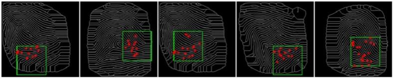 The green boxes show the locations of 5 MasterPrints detected in 5 different full fingerprints from an optical fingerprint data set. The red dots mark the minutiae positions. In general, it is speculated that the minutiae configurations in these regions do not provide many distinguishing characteristics therefore leading to high false match rates. 5 different full fingerprints from an optical fingerprint data set