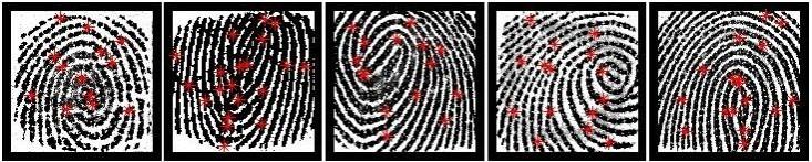 The images correspond to the top 5 partial fingerprints that were selected as MasterPrints from a fingerprint data set. The red dots mark the positions of minutiae. These 5 MasterPrints span different portions of the full fingerprint, which in turn increases the probability of falsely matching with a large number of partial fingerprints. 5 partial fingerprints that were selected as MasterPrints from a fingerprint data se
