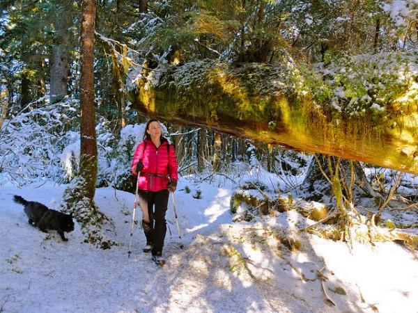 Armitron launches outdoor watch collection Hiking