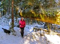 Hiking
