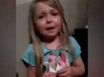 Heartbreaking video shows 5-year-olds plea for safe return of family dog