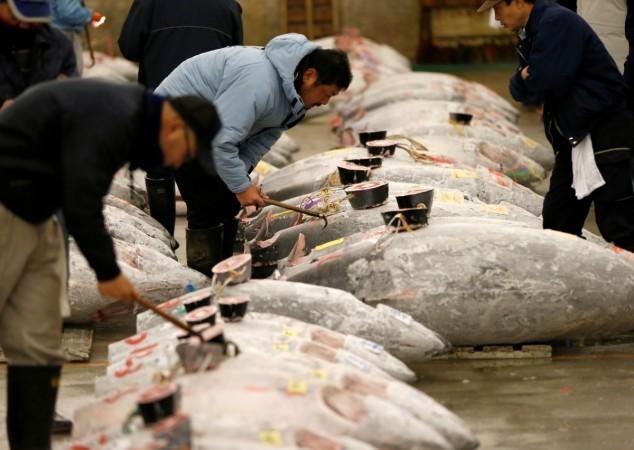 Wholesalers check the quality of frozen tuna displayed at the Tsukiji fish market before the New Year's auction in Tokyo, Japan, January 5, 2017 (representational image). us mexico trade relationship, trump loses to mexico, us mexico tuna battle, tuna exports to us, mexican tuna