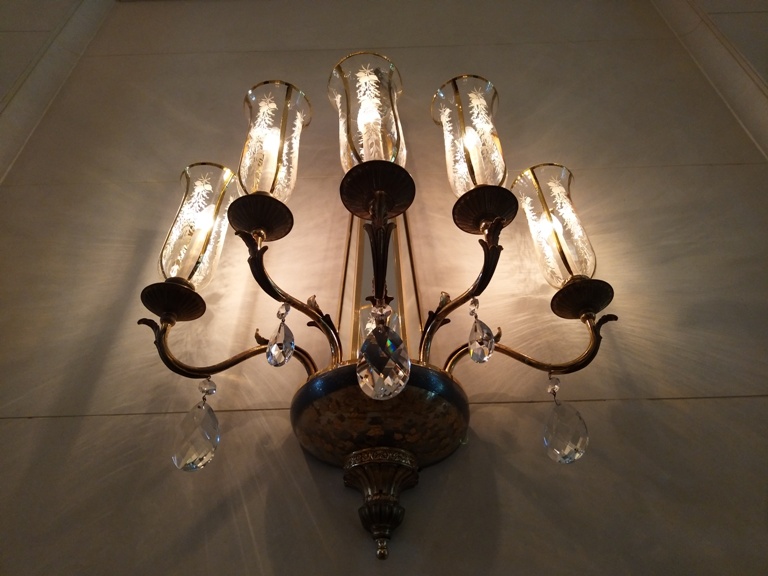 Shot on Vivo V5 Plus rear cam