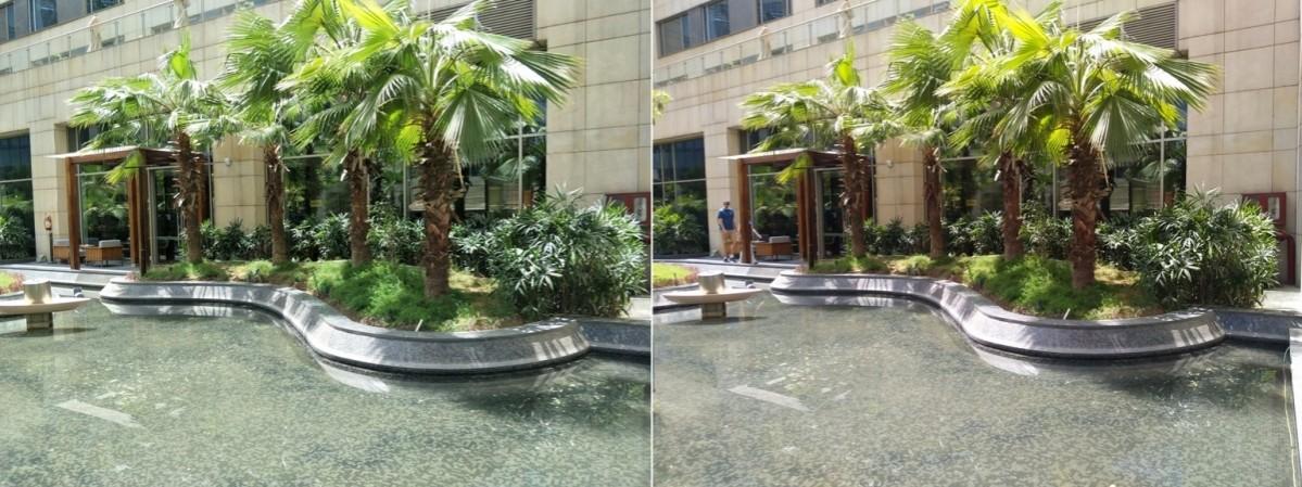 Shot on OPPO F3 Plus (LEFT) , Shot on Vivo V5 Plus (Right) OPPO F3 Plus Vs Vivo V5 Plus