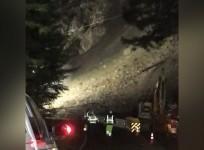 Caltrans workers run to avoid dramatic landslide