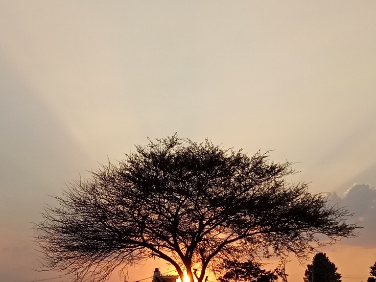 OPPO F3 Camera Review: 2X Zoom OPPO F3 Camera Review