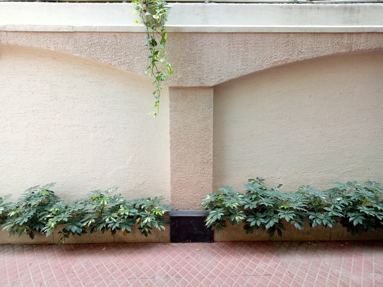 OPPO F3 Camera Review OPPO F3 Camera Review