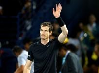 Andy Murray, Andy Murray denies Knighthood and ranking affecting form, Maria Sharapova, Andy Murray on Maria Sharapova, Maria Sharapova news, Andy Murray news, tennis, tennis news, Wimbledon, French Open