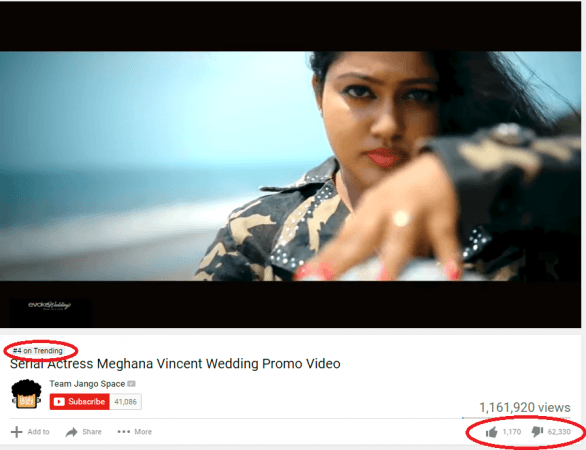 Meghna Vincent pre-wedding video becomes most disliked video. Meghna Vincent, Don Tomy, Wedding video, Meghna trolls