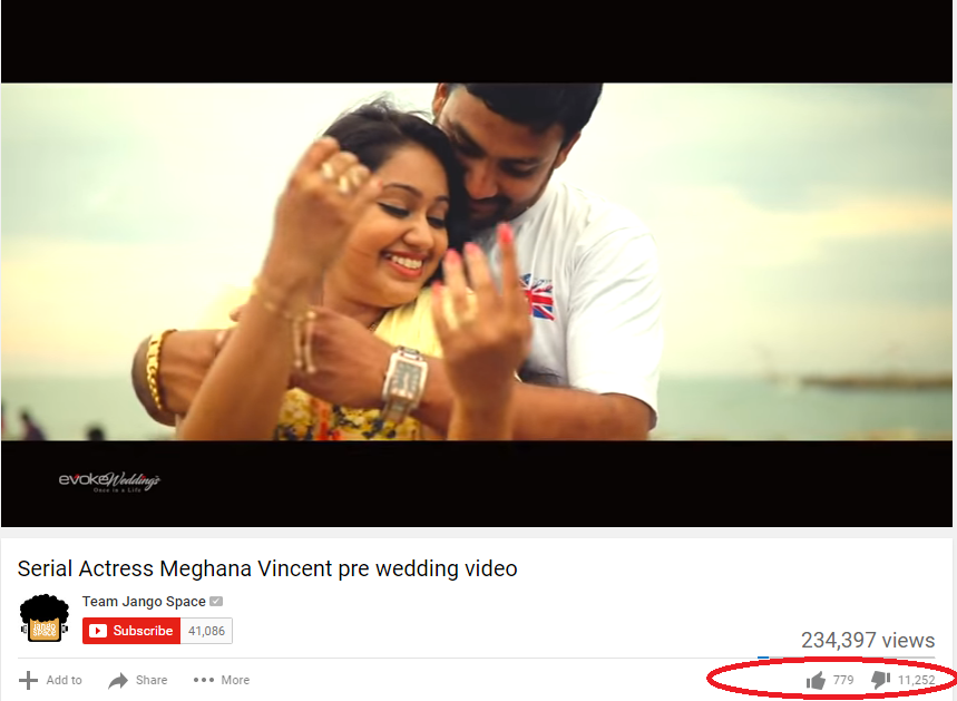 Meghna Vincent, Don Tomy, Meghna vincent trolls