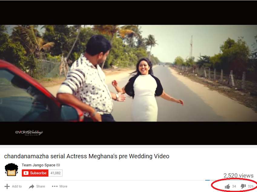 Meghna Vincent, Don Tomy, Meghna vincent trolls