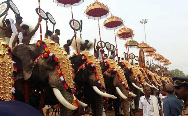 Elephants at the Thrissur Pooram festival Elephants at the Thrissur Pooram festival