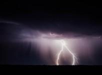 lightning, mass animal deaths, mystery,