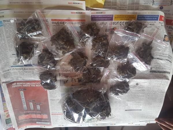 Marijuana seized by Bengaluru police on May 9, 2017 ganja
