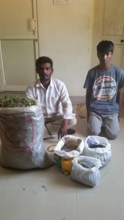 The weed peddlers arrested by the Bengaluru city police on May 2, 2017 weed