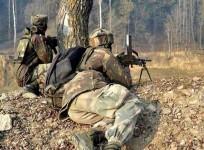 BSF personnel