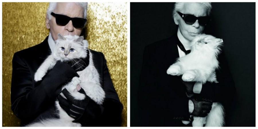 Love cats? Would you shell out $538 for stuffed version of Karl ...
